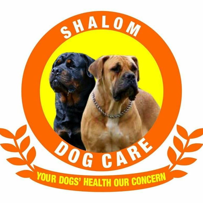 SHALOM DOG CARE 🐕